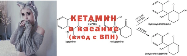 соль ск Алексеевка