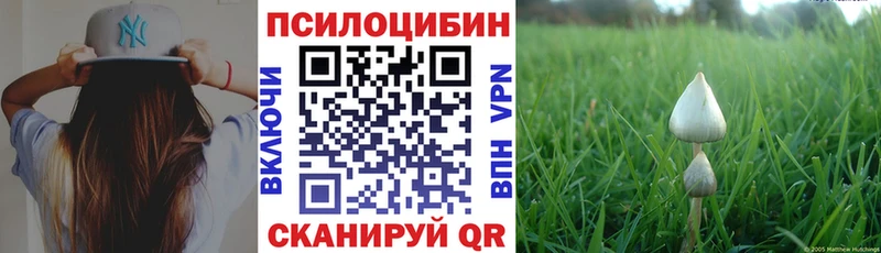 Псилоцибиновые грибы мухоморы Шумиха